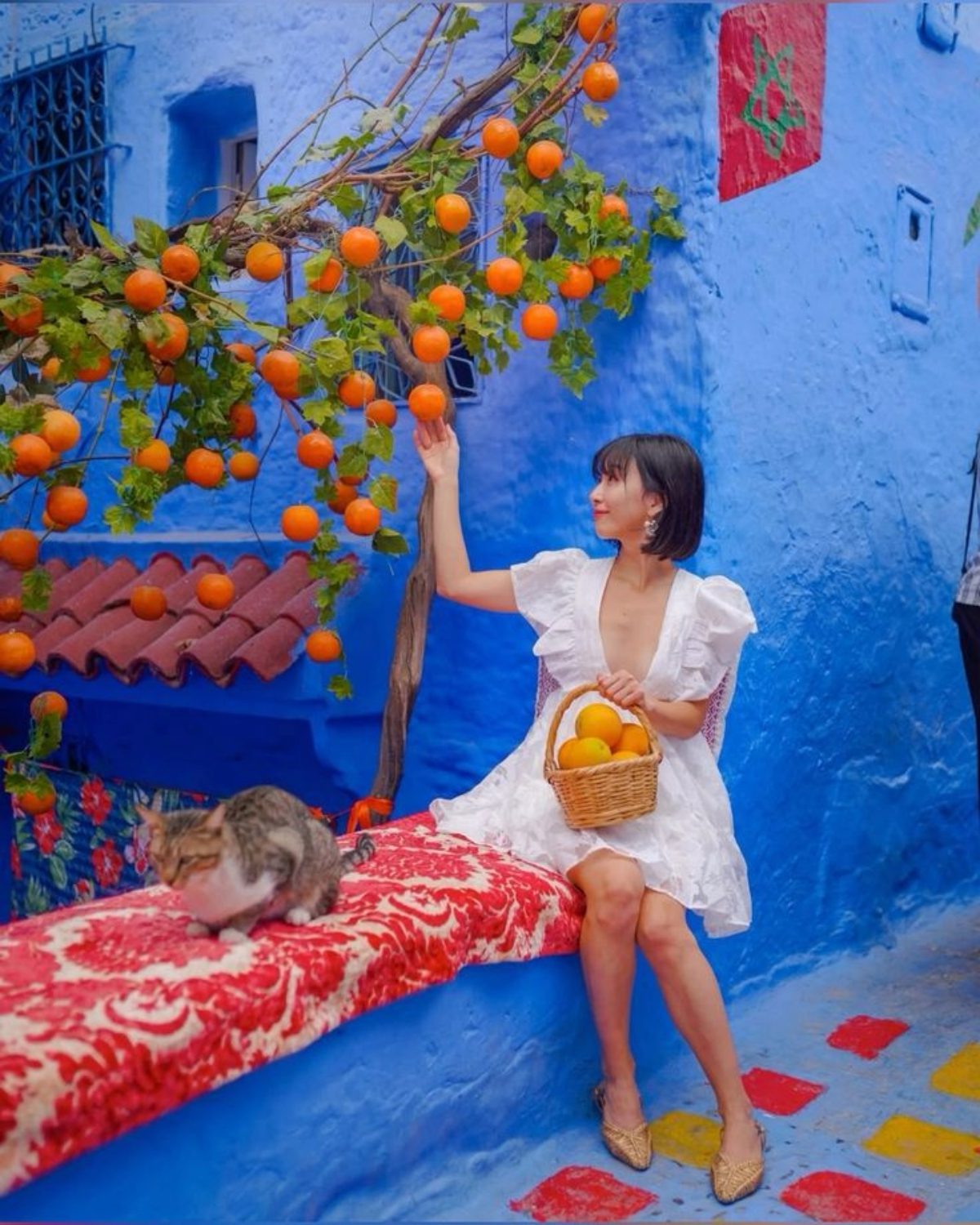 Marrakech to Chefchaouen tour