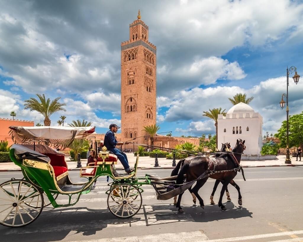 Visite guidée d'une journée complète de la ville de Marrakech - Visite privée