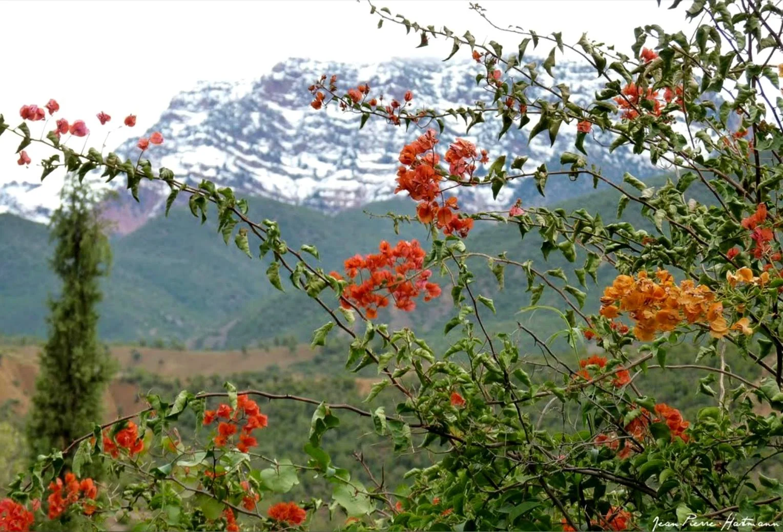 Ouirgane & roseraie valleys