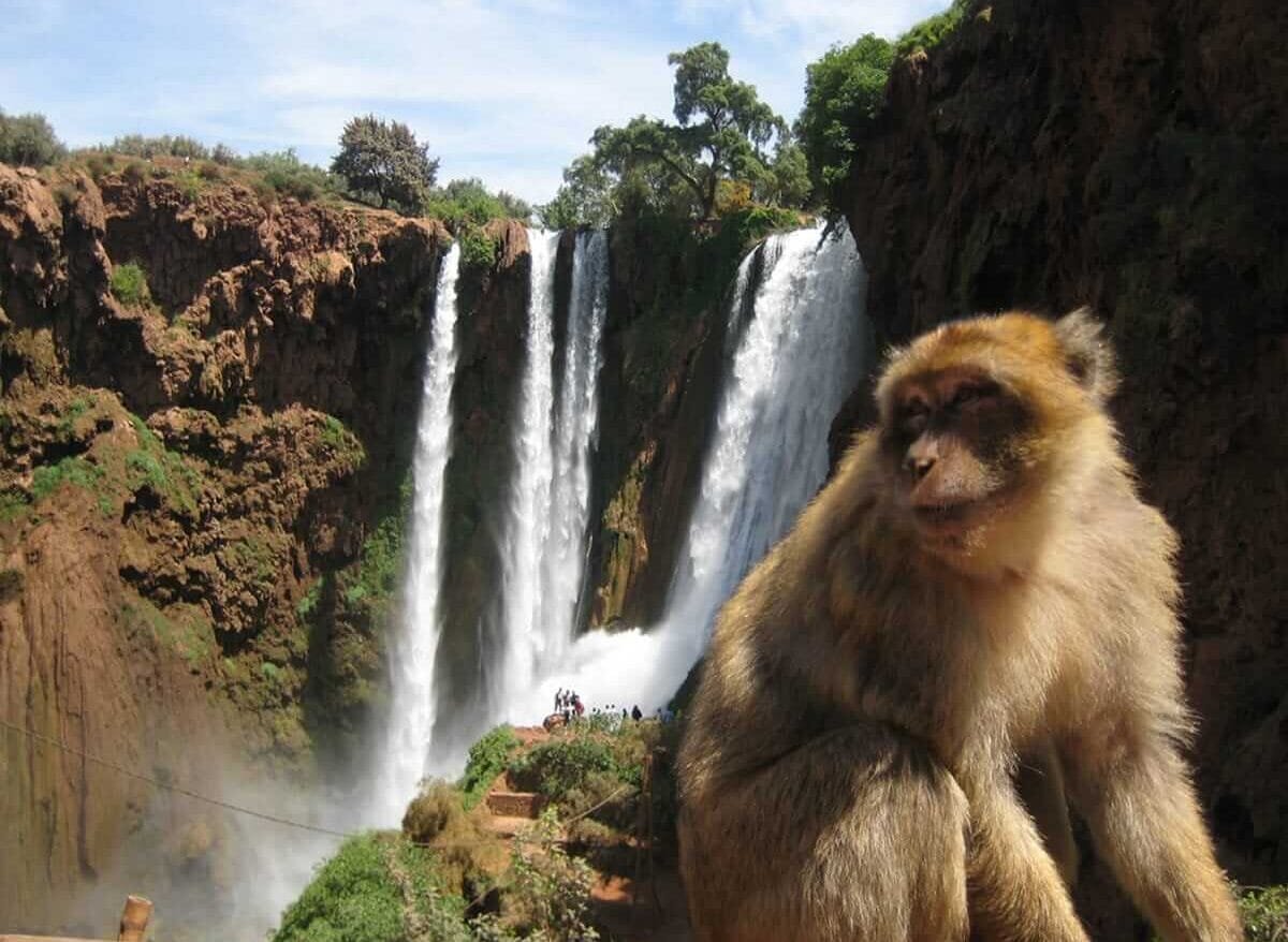 Private day trip to ouzoud Waterfalls