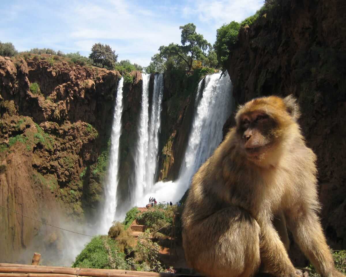 Private day trip to ouzoud Waterfalls