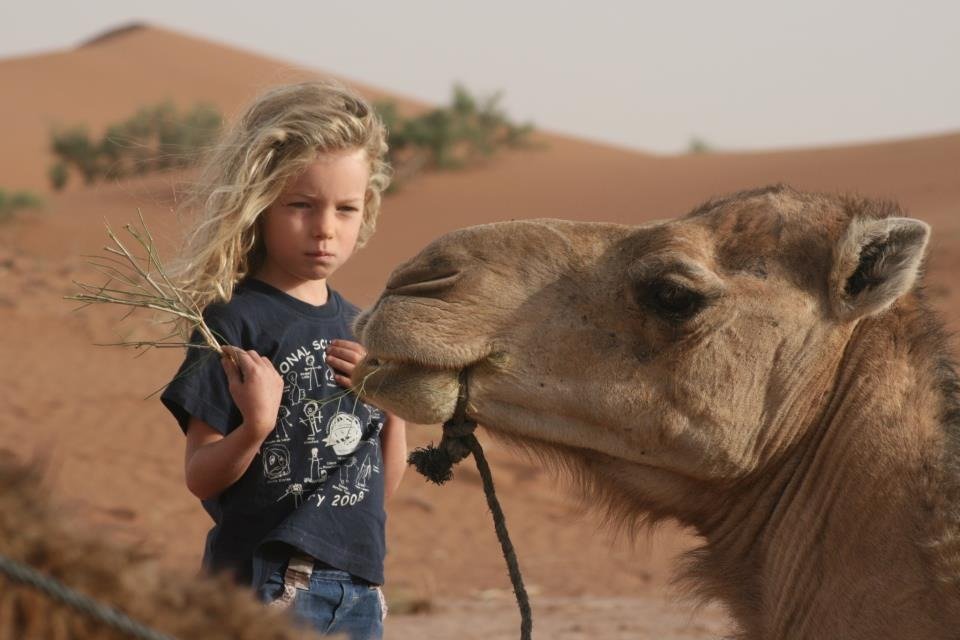 Marrakech desert tours