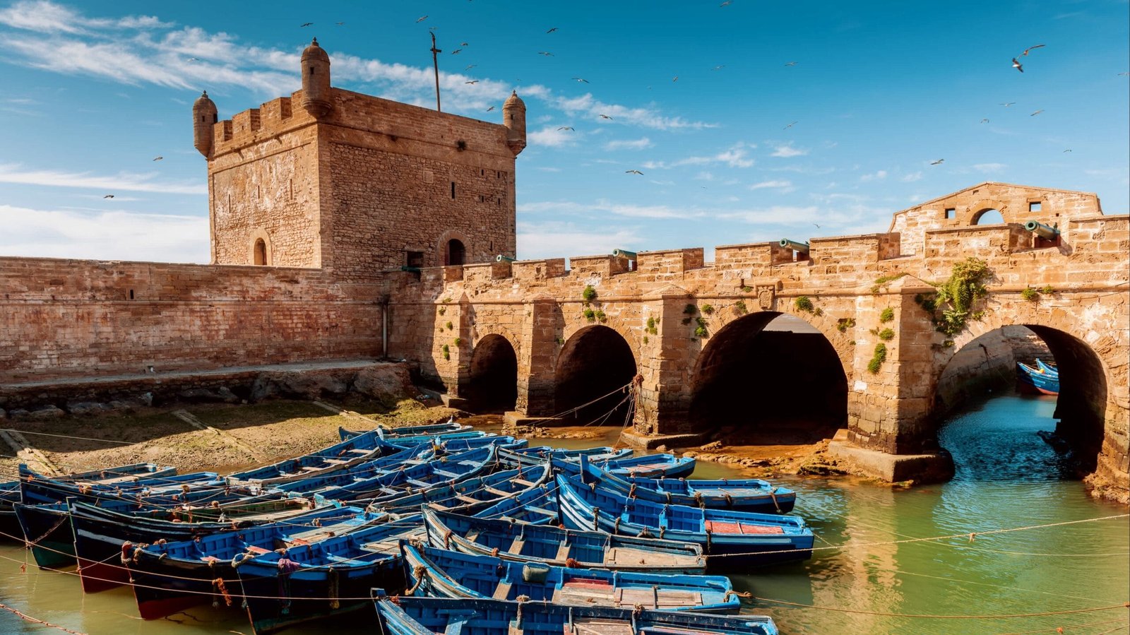 Best Places to Stay in Essaouira for an Unforgettable Experience