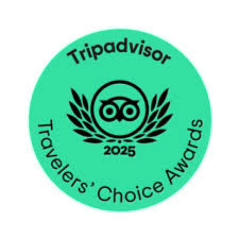 tripadvisor travelers' choice awards 2025 winners