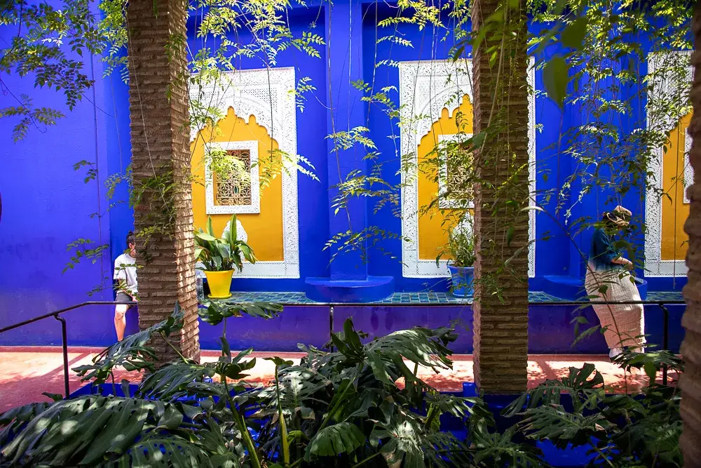 Jardin Majorelle garden pathways and plants