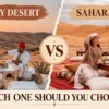 Agafay Desert vs Sahara Desert